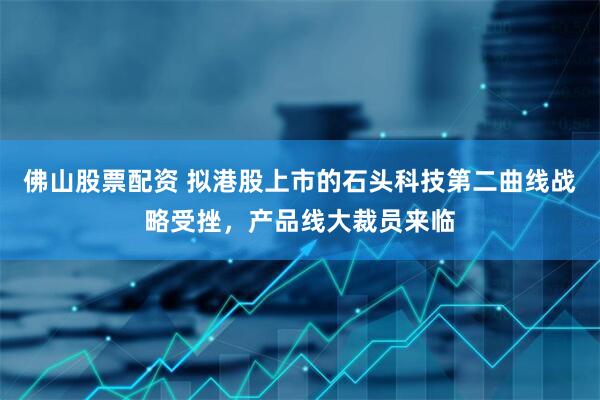 佛山股票配资 拟港股上市的石头科技第二曲线战略受挫，产品线大裁员来临