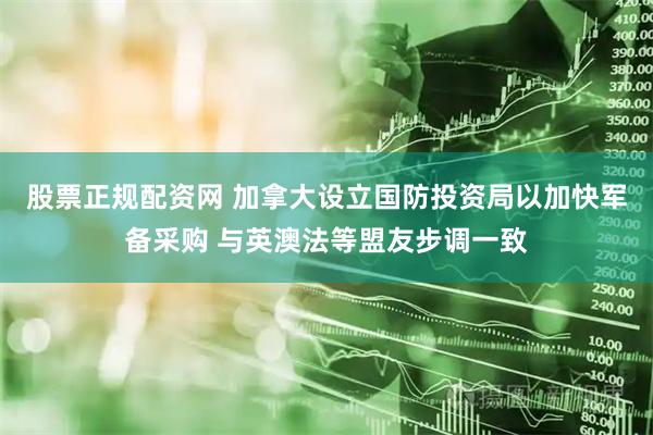 股票正规配资网 加拿大设立国防投资局以加快军备采购 与英澳法等盟友步调一致