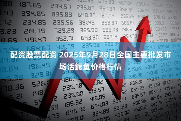 配资股票配资 2025年9月28日全国主要批发市场活鳜鱼价格行情